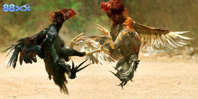 Chia sẻ kinh nghiệm thực tế giúp nâng cao trải nghiệm