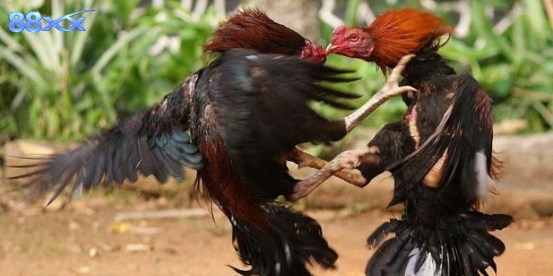 Vì sao trò chơi thu hút người chơi trực tuyến hiện nay